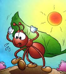 formiga carregadeira