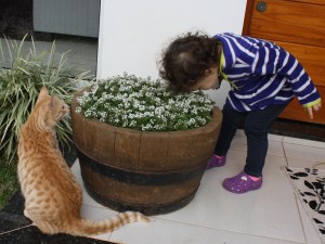 A alegria de ter uma criança por perto que vive 'a alegria nossa de cada dia'.