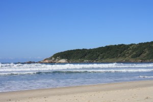 A alegria do ver e do sentir